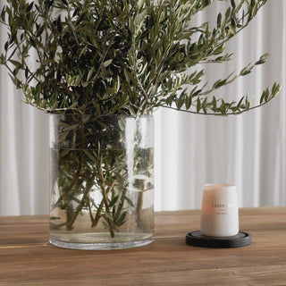 CARTER VEGAN LEATHER DINING CHAIR + NAPLES TABLE