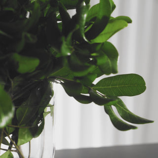 PALOMA CERAMICA INDOOR/OUTDOOR 160CM GLASS BAR TABLE + 6 ROPE BAR STOOLS BUNDLE