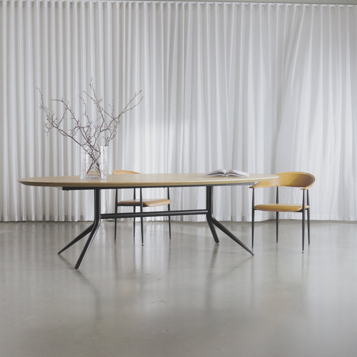 BRETON OVAL DINING TABLE  |  BIRCH ASH WOOD GRAIN  |  260CM