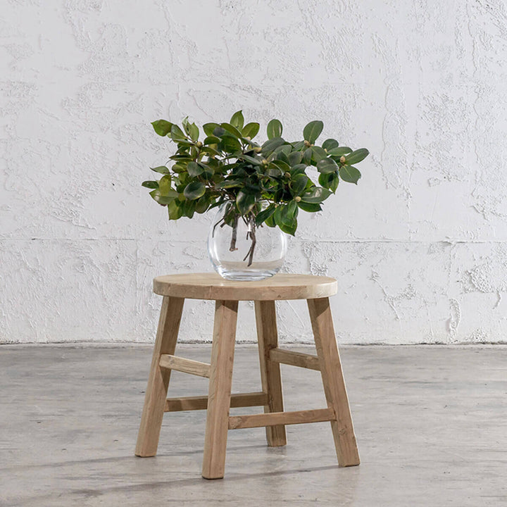 CAPRETTA ELM ROUND SIDE TABLE  |  BLEACHED BRISTLE