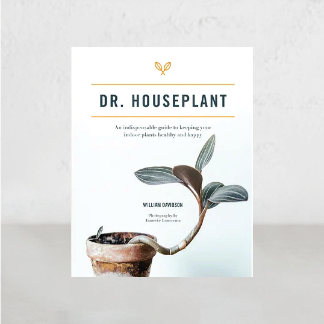 DR. HOUSEPLANT  |  JANE BLAND  |  WILLIAM DAVIDSON