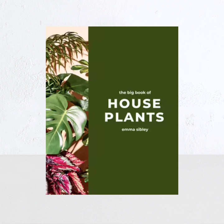 THE BIG BOOK OF HOUSE PLANTS  |  EMMA SIBLEY