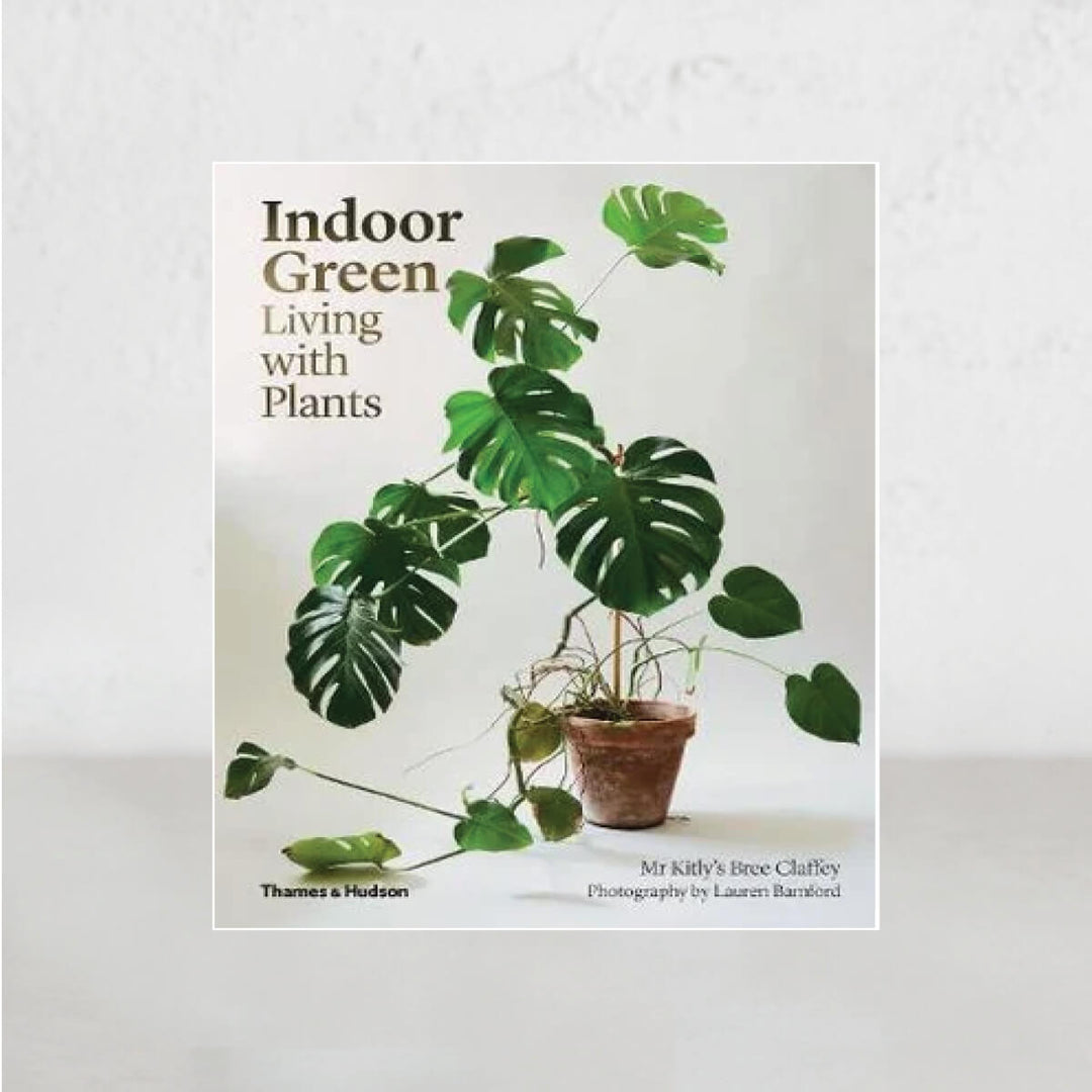 INDOOR GREEN |  LIVING WITH PLANTS  |  MR KITLY