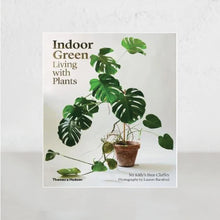 INDOOR GREEN |  LIVING WITH PLANTS  |  Mr Kitly's Bree Claffey