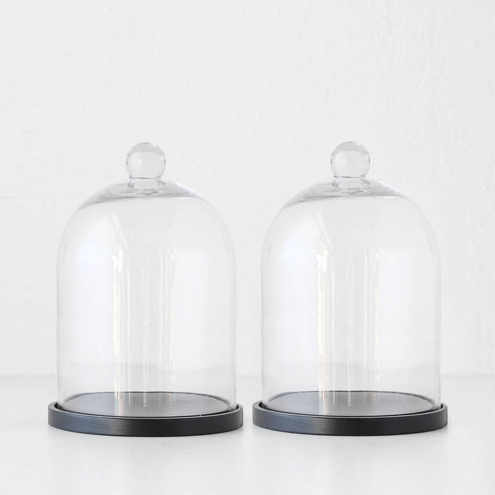 LUXE LIVING BY DESIGN GLASS CLOCHE WITH BLACK BASE BUNDLE X2 | EXTRA LARGE | GLASS