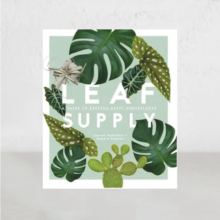 LEAF SUPPLY  |  A GUIDE TO KEEPING HAPPY HOUSE PLANTS  |  Lauren Camilleri + Sophia Kaplan