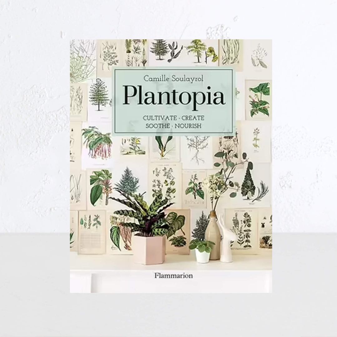 PLANTOPIA | CAMILLE SOULAYROL