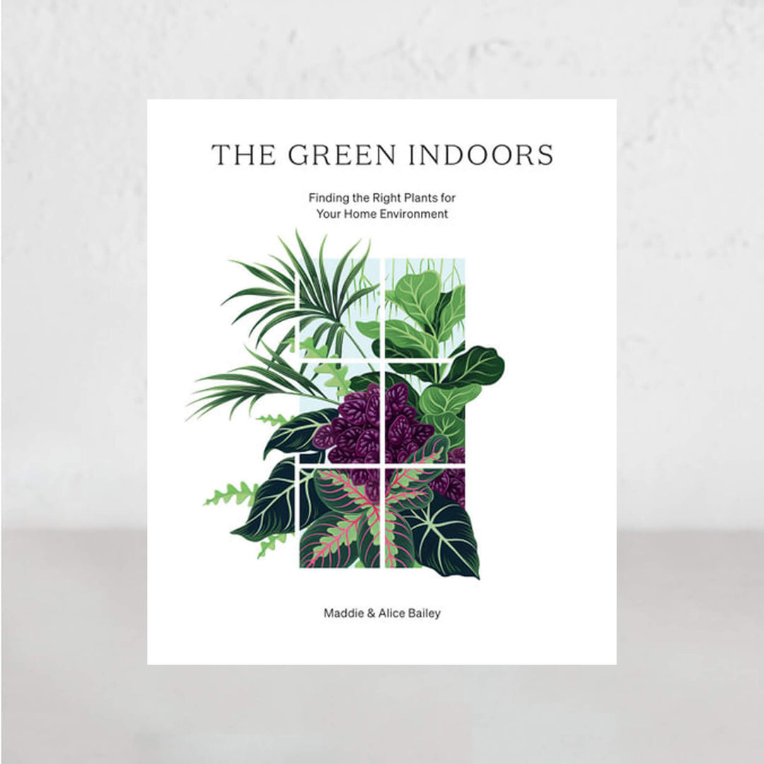 THE GREEN INDOORS  |  MADDIE BAILEY + ALICE BAILEY