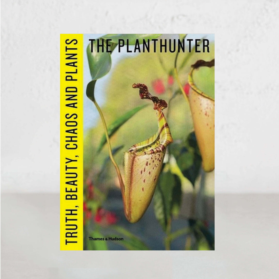 THE PLANTHUNTER  |   TRUTH, BEAUTY CHAOS & PLANTS