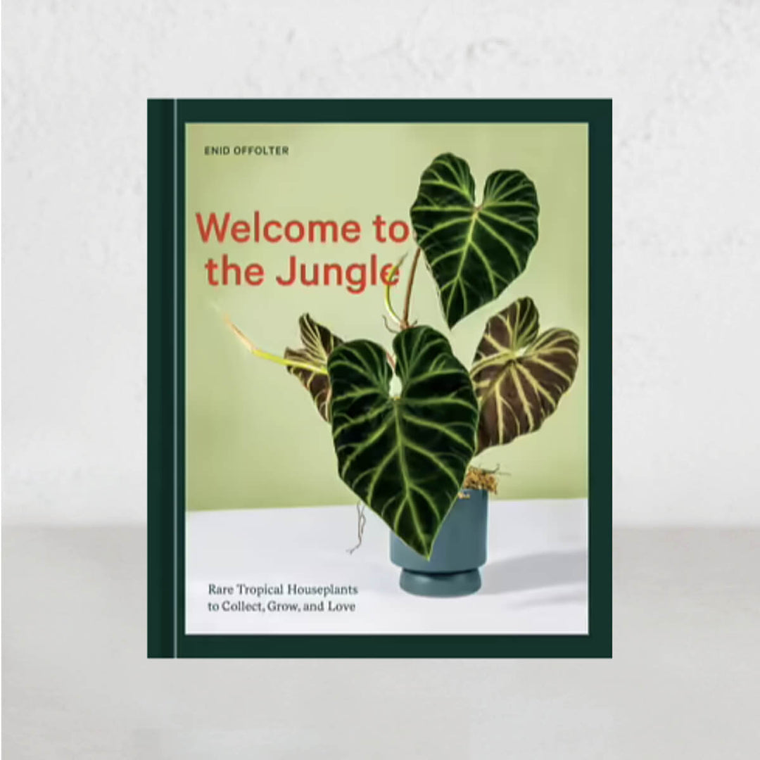 WELCOME TO THE JUNGLE: RARE TROPICAL HOUSEPLANTS  TO COLLECT, GROW, AND LOVE  |  ENID OFFOLTER